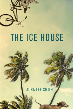 Paperback The Ice House Book