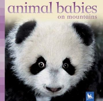 Hardcover Animal Babies on Mountains. Book