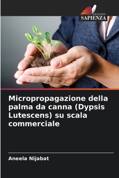 Paperback Micropropagazione della palma da canna (Dypsis Lutescens) su scala commerciale [Italian] Book