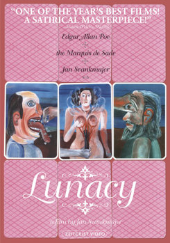 DVD Lunacy Book