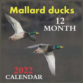 Calendar 2022 Mallard ducks 12 MONTH: Official Ducks Calendar 2022,12 Months Calendar, Wild Animals, Square Calendar 2022