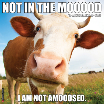 Calendar Not in the Mooood 2025 12 X 12 Wall Calendar Book