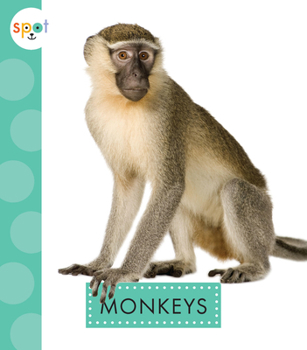 Paperback Monkeys Book
