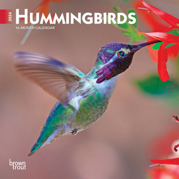 Calendar Hummingbirds 2024 Mini 7x7 Book
