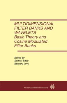 Paperback Multidimensional Filter Banks and Wavelets: Basic Theory and Cosine Modulated Filter Banks Book
