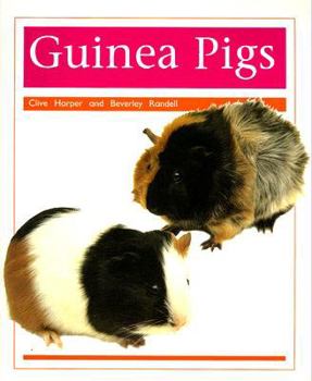 Paperback Pets: Guinea Pigs: Individual Student Edition Orange (Levels 15-16) Book