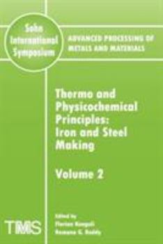 Thermo and Physiochemical Principles: Iron and Steel Making (Advanced Processing of Metals and Materials) (v. 2)