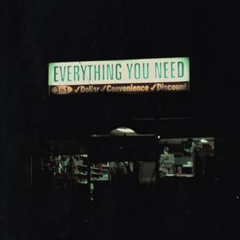 Vinyl Everything You Need Book