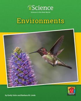 Paperback Environments Book