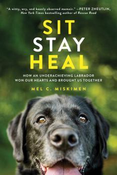 Paperback Sit Stay Heal: How an Underachieving Labrador Won Our Hearts and Brought Us Together Book
