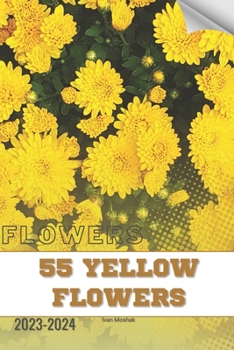 55 Yellow Flowers: Become flowers expert