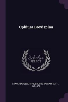 Paperback Ophiura Brevispina Book