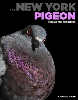 Hardcover The New York Pigeon: Behind the Feathers Book