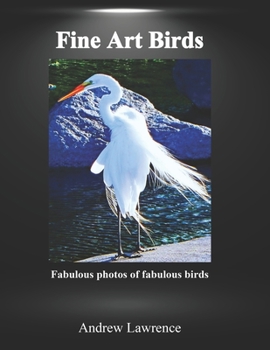 Paperback Fine Art Birds: Fabulous photos of fabulous birds Book