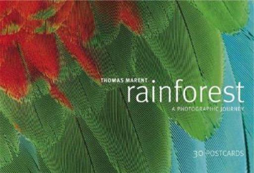 Paperback Rainforest Postcard Book