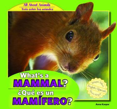 Library Binding What's a Mammal? / ¿Qué Es Un Mamífero? [Spanish] Book