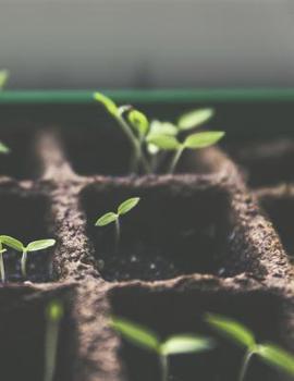 Paperback Gardening Log Book: Plant Growing and Layout Detail Record Book