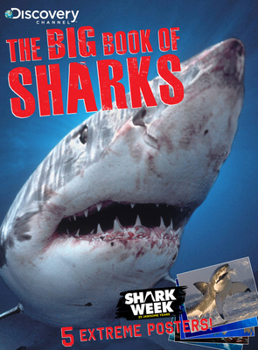 Paperback The Big Book of Sharks Book