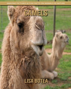Paperback Camels: Amazing Pictures & Fun Facts on Animals in Nature Book