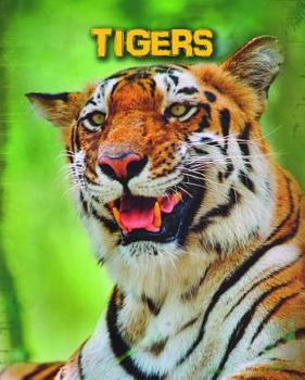 Library Binding Tigers Book
