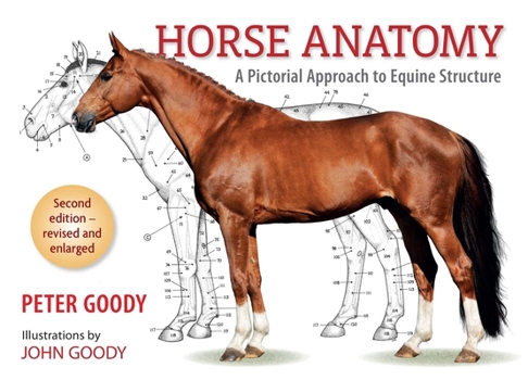 Paperback Horse Anatomy: A Pictorial Approach to Equine Structure Book