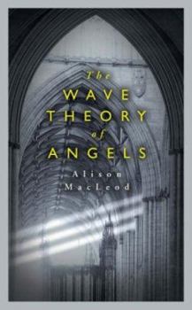 Hardcover The Wave Theory of Angels Book