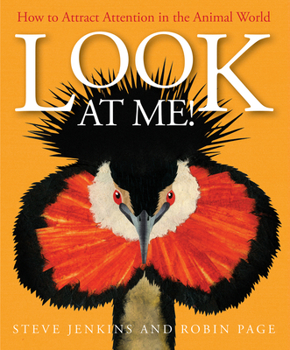 Hardcover Look at Me!: How to Attract Attention in the Animal World Book