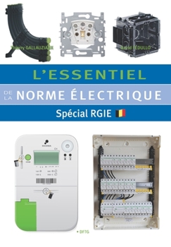 Paperback L'essentiel de la norme électrique: Spécial RGIE [French] Book