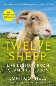 Paperback Twelve Sheep: Life lessons from a lambing season Book
