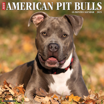 Calendar Just American Pit Bull Terriers 2025 12 X 12 Wall Calendar Book