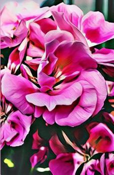 Notebook : A Pink Floral Paradise