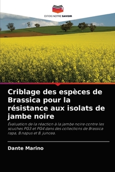 Paperback Criblage des espèces de Brassica pour la résistance aux isolats de jambe noire [French] Book
