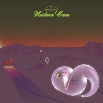 Vinyl Western Cum Book