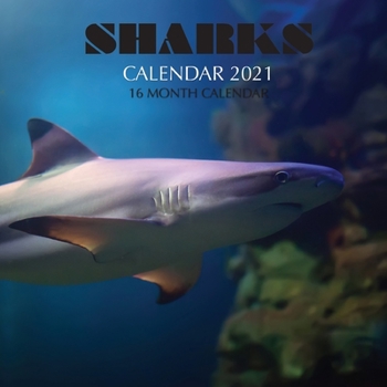 Paperback Sharks Calendar 2021: 16 Month Calendar Book
