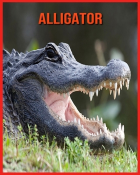 Paperback Alligator: Lustige Fakten und erstaunliche Fotos von Tieren in der Natur [German] Book