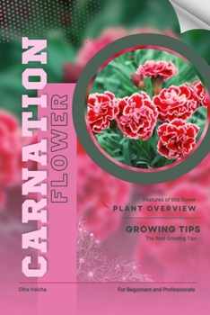 Carnation: Flower overview and Growing Tips