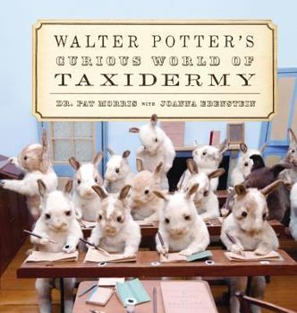 Hardcover Walter Potter's Curious World of Taxidermy Book