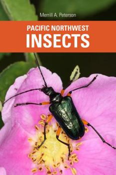 Paperback Pacific Northwest Insects Book