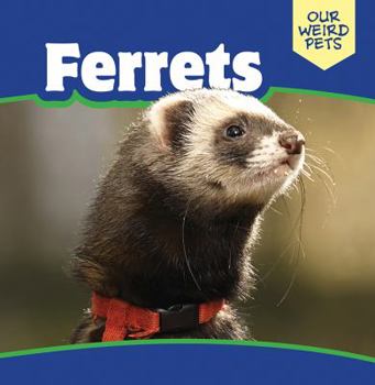 Library Binding Ferrets Book