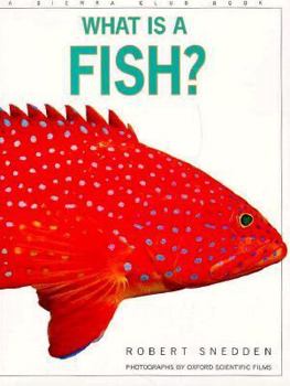 Hardcover What Is a Fish? Book