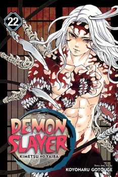 Paperback Demon Slayer: Kimetsu No Yaiba, Vol. 22 Book