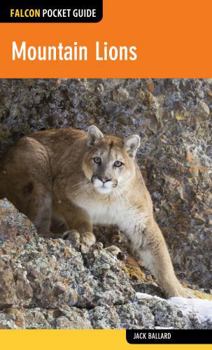 Paperback Mountain Lions Book