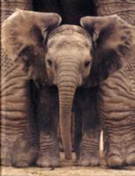 Hardcover Elephants [German] Book