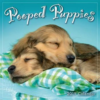 Calendar 2019 Pooped Puppies Mini Calendar: By Sellers Publishing Book