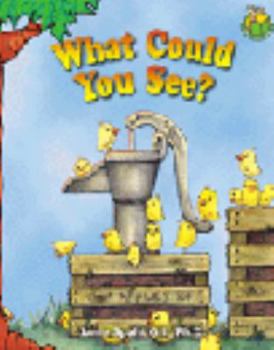 What Could You See?