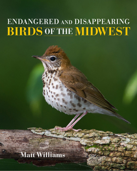 Hardcover Endangered and Disappearing Birds of the Midwest Book