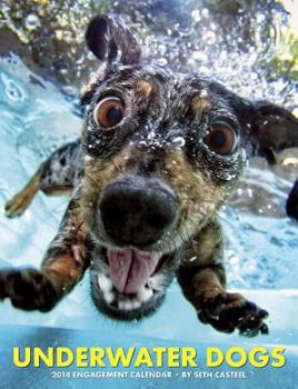 Underwater Dogs Calendar