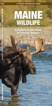 Maine Wildlife: A Folding Pocket Guide to Familiar Species