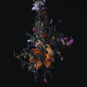 Vinyl Nature Morte Book