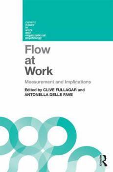 Paperback Flow at Work: Measurement and Implications Book